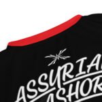 Recycled unisex Assyrian ashor Soccer sports jersey - Image 5
